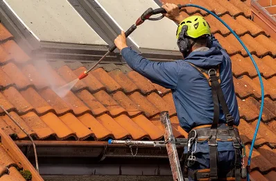 Démoussage et hydrofuge de toiture à Courtomer